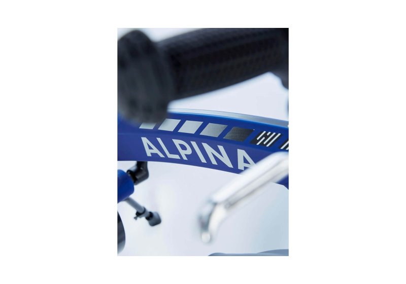 Alpina Brave 16 Inch 2021 Jongens -10353