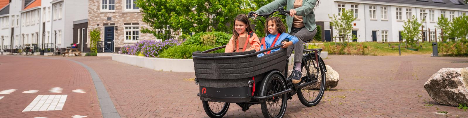 Elektrische bakfietsen'